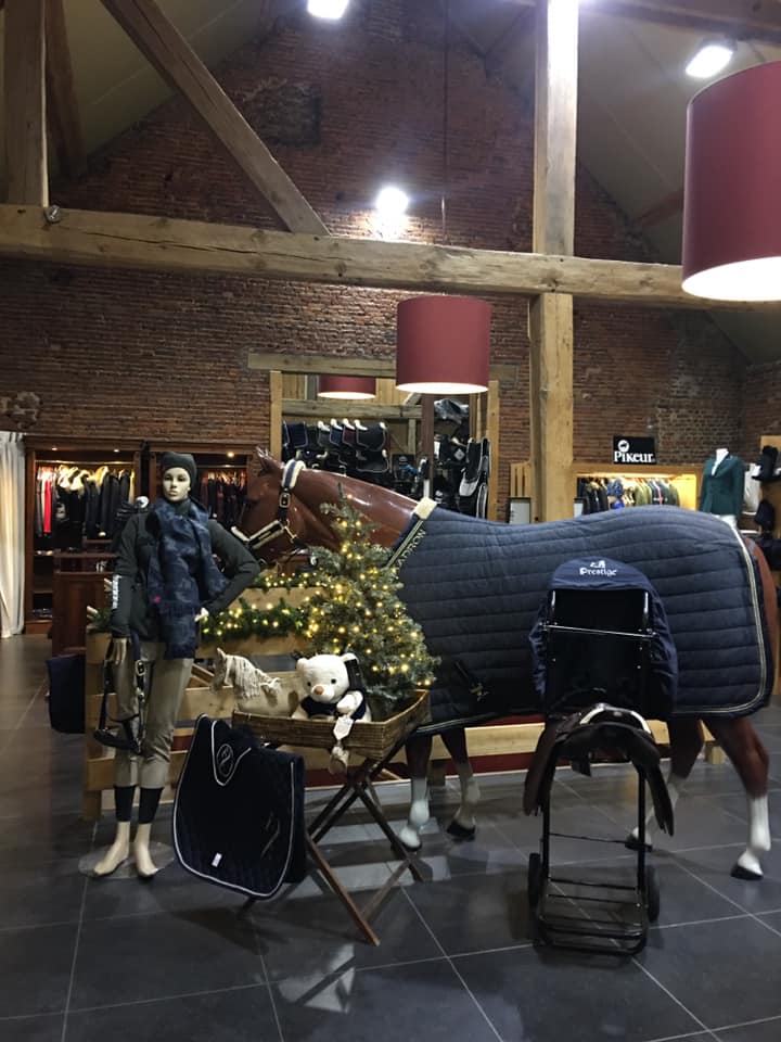 selles-equipements-ferme-lucas-hollogne-aux-pierres selles-equipements-ferme-lucas-hollogne-aux-pierres
